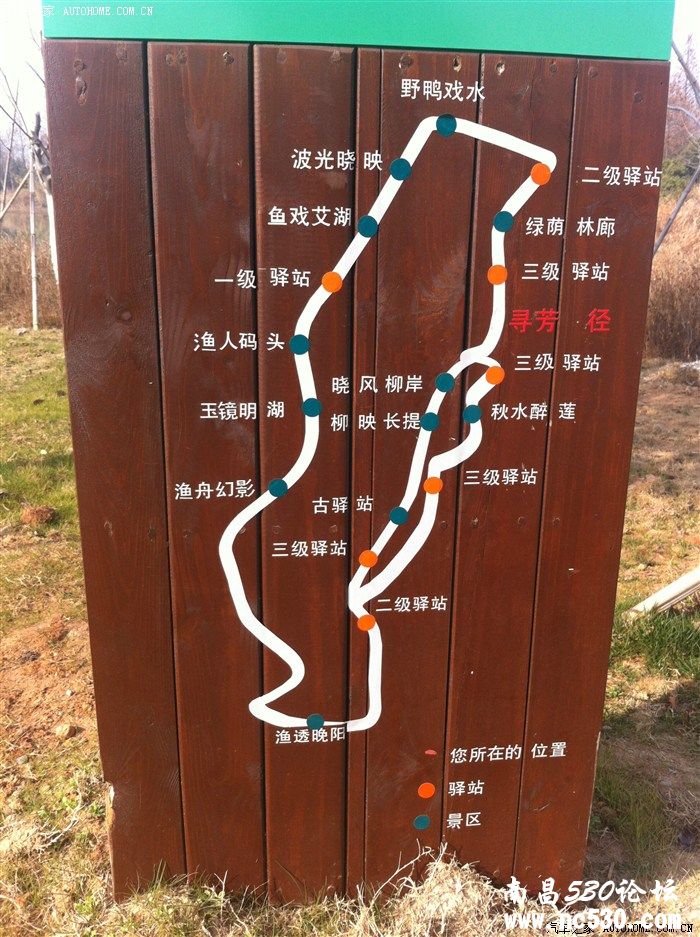 和我的金凯一起享受冬日暖阳