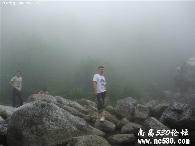 我想你们了，我的小伙伴们