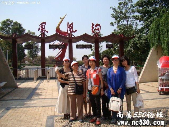 岁岁重阳、岁岁情，带着老人去户外