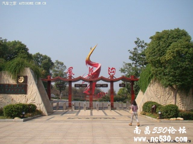 岁岁重阳、岁岁情，带着老人去户外