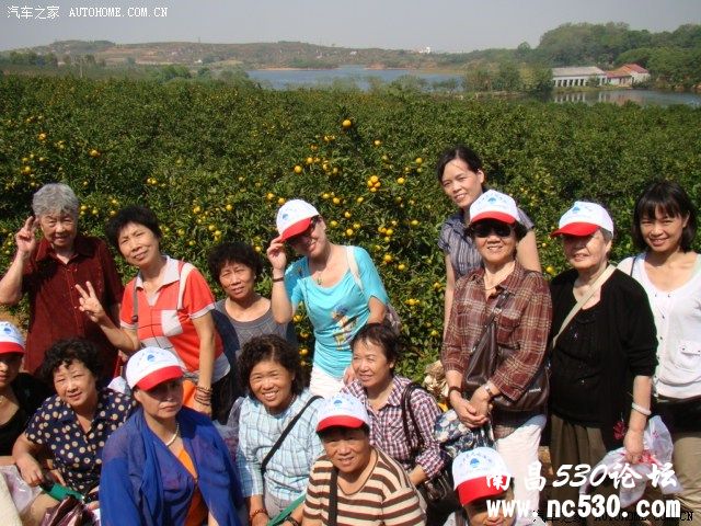 岁岁重阳、岁岁情，带着老人去户外