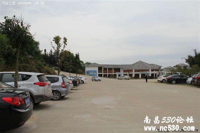 周末带女儿到赣县桃花游玩