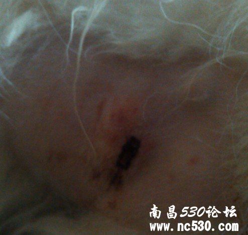 这到底是个啥。。。