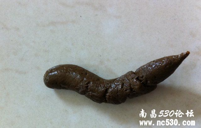 狗狗前几天拉稀便，吃妈咪爱三天，请问现在这便便是好转了么？