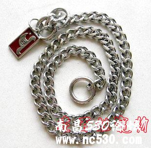 短毛犬每天带项圈好吗?