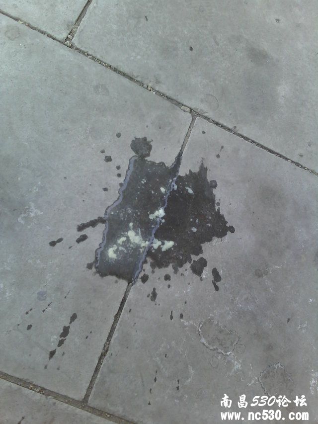 我家狗是发情了还是病了