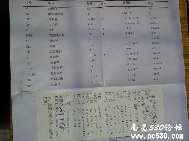 全身性淋巴肿怎样治疗