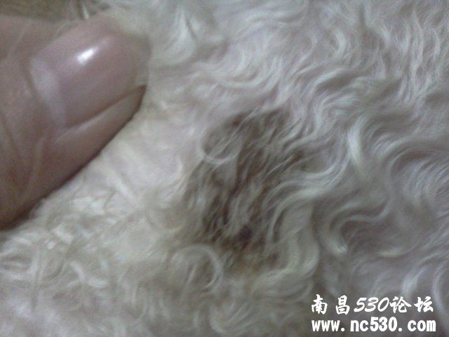 脸颊长了一个圆形硬块 呈黄色