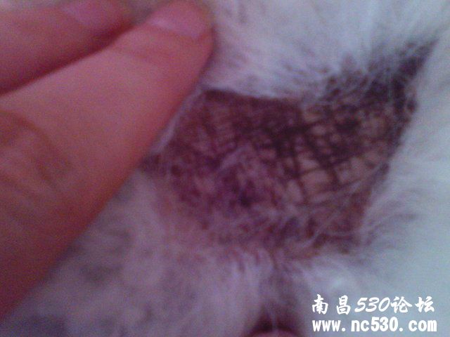 请求大家帮忙看看！皮肤问题