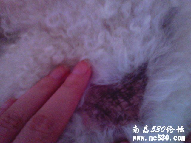 请求大家帮忙看看！皮肤问题