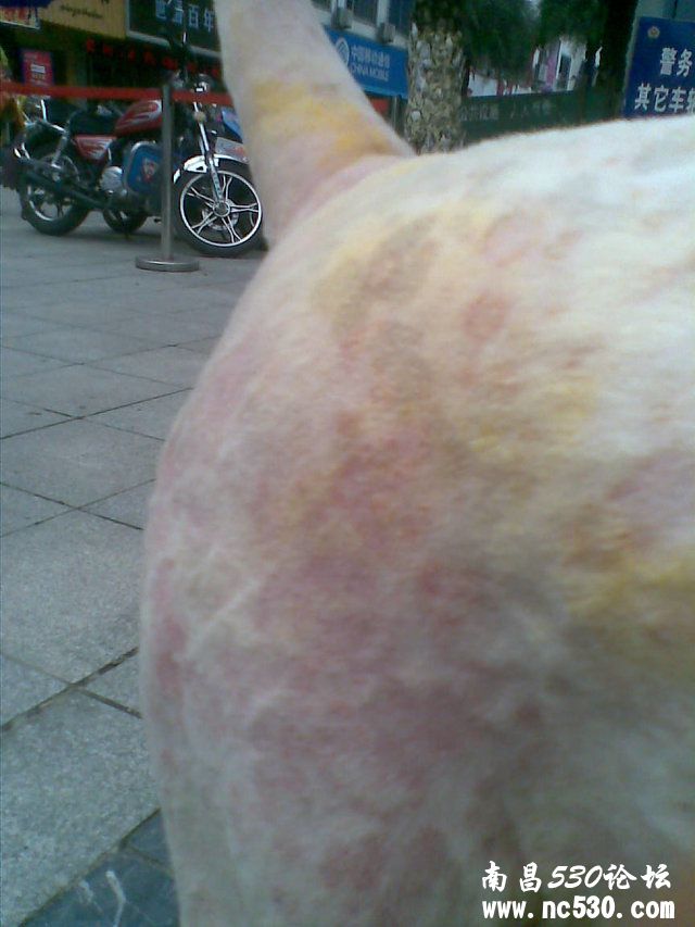 皮肤病一到夏天就复发