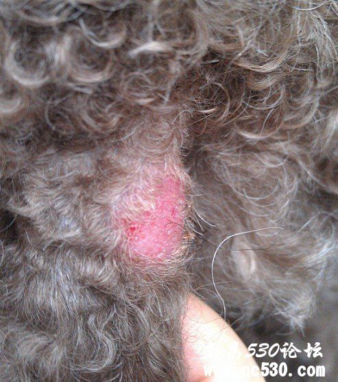 谢谢医生进来看下呢，不知道是咋了，有图片