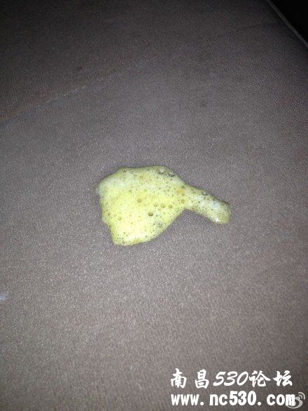 一岁多泰迪一早上吐四次