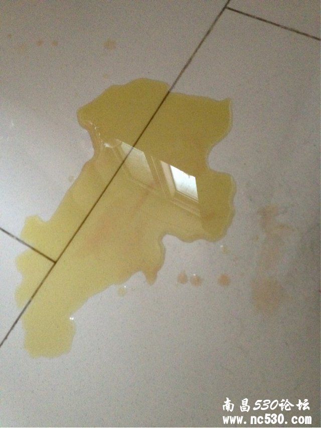 母狗尿尿有点红色，是为什么啊？