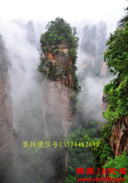 1_副本 微信号.jpg