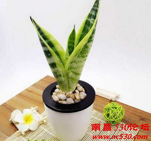 d130c4b80e1f031f8409a35c3f0f8cee (1).jpg